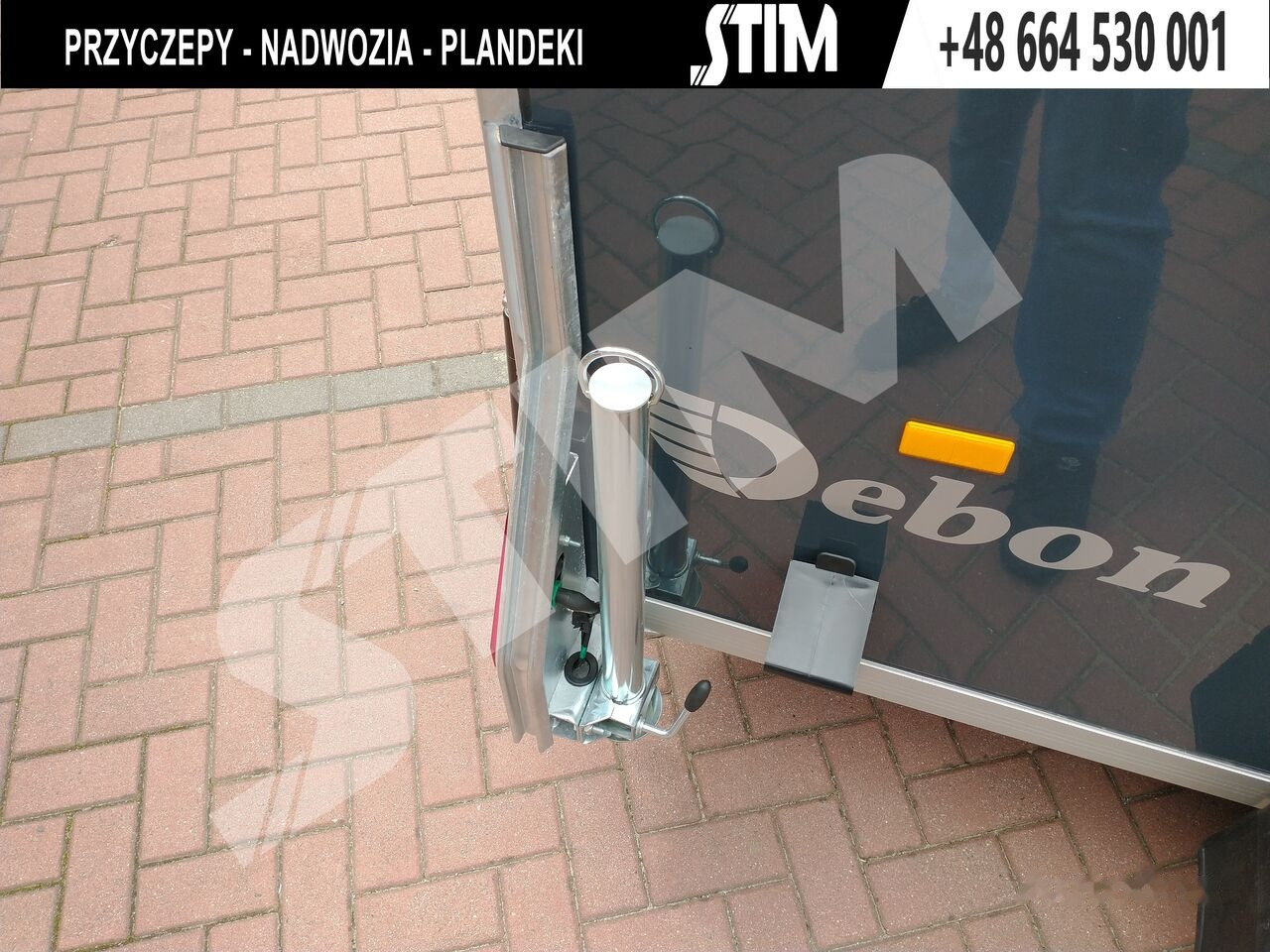 Remolque caja cerrada nuevo Cheval Liberté Cargo + drzwi boczne: foto 6