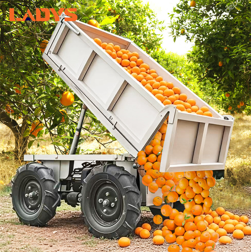 LADYS Electric Remote Control Transporter Agricultural Orchard Farm Electric Utv Material Handling Equipment All Terrain Transport Vehicle - Cuadrimoto: foto 2 LADYS Electric Remote Control Transporter Agricultural Orchard Farm Electric Utv Material Handling Equipment All Terrain Transport Vehicle - Cuadrimoto: foto 2