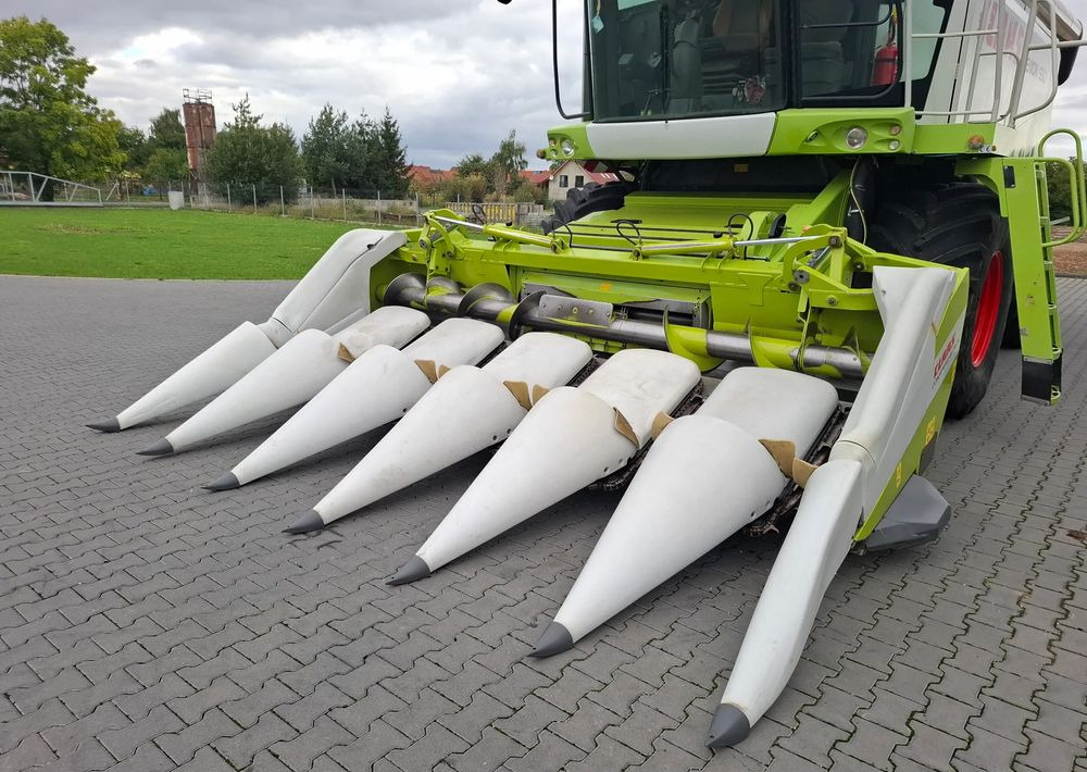 Claas CONSPEED 6-75 2012 Rok Przystawka do Kukurydzy , Nie Malowana, Stan Idealny - Cabezal de maíz: foto 2 Claas CONSPEED 6-75 2012 Rok Przystawka do Kukurydzy , Nie Malowana, Stan Idealny - Cabezal de maíz: foto 2
