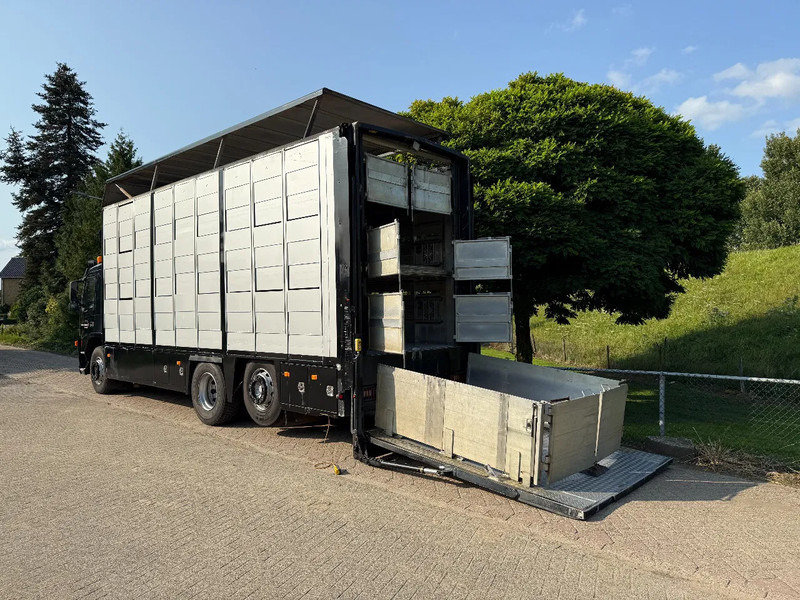 Volvo FM 300 Livestock Cuppers 3 laags 6x2 - Camión transporte de ganado: foto 2 Volvo FM 300 Livestock Cuppers 3 laags 6x2 - Camión transporte de ganado: foto 2