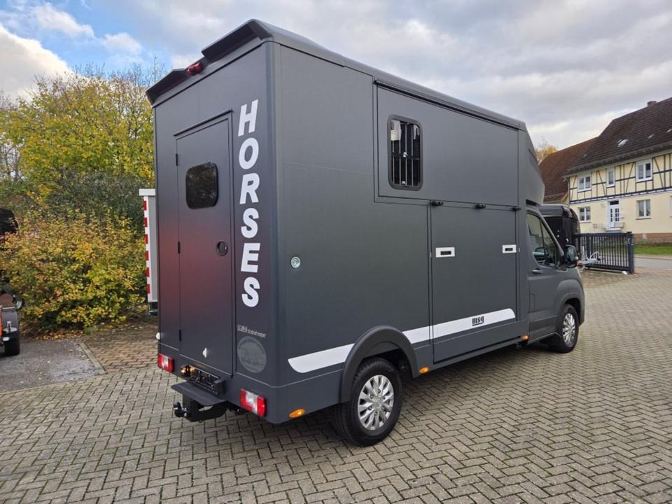 MSG Stablehopper Pferdetransporter Pferdeanhänger Böckmann - Camión para caballos: foto 3 MSG Stablehopper Pferdetransporter Pferdeanhänger Böckmann - Camión para caballos: foto 3