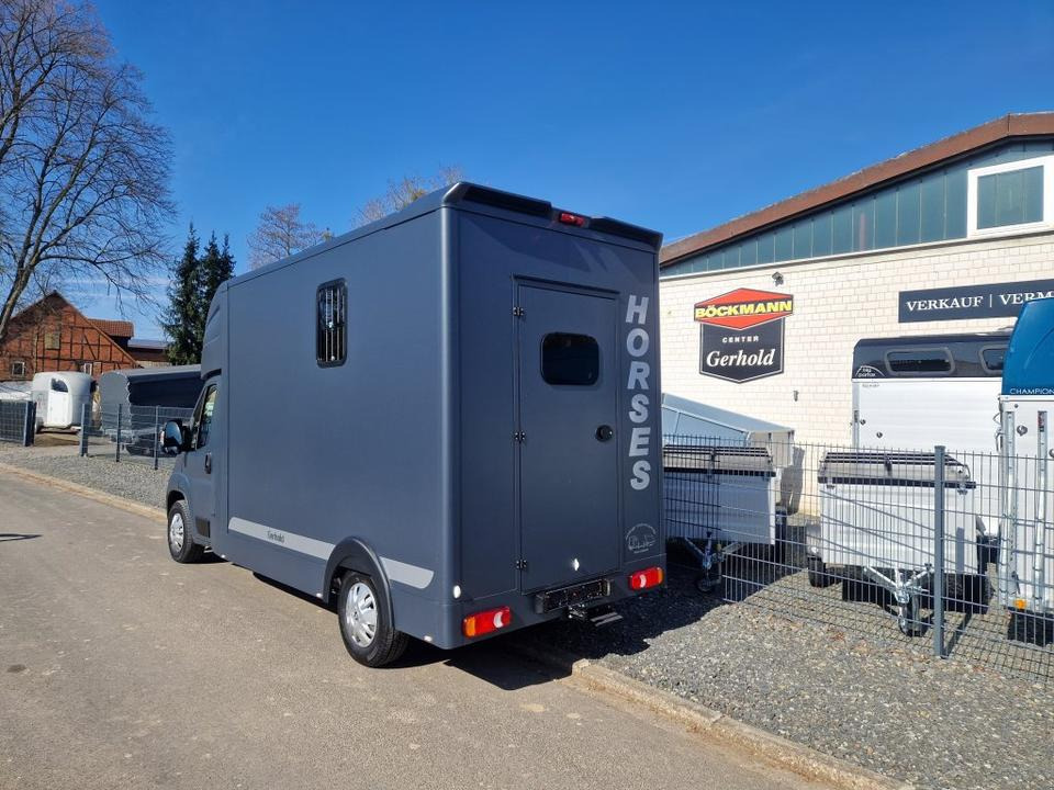 MSG Stablehopper Pferdetransporter Pferdeanhänger Böckmann - Camión para caballos: foto 4 MSG Stablehopper Pferdetransporter Pferdeanhänger Böckmann - Camión para caballos: foto 4