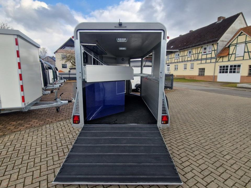 Remolque para caballos Pferdeanhänger Böckmann Traveller G3 Top Ausstattung: foto 6