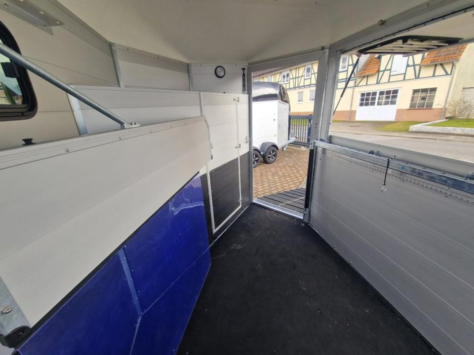 Remolque para caballos Pferdeanhänger Böckmann Traveller G3 Top Ausstattung: foto 13
