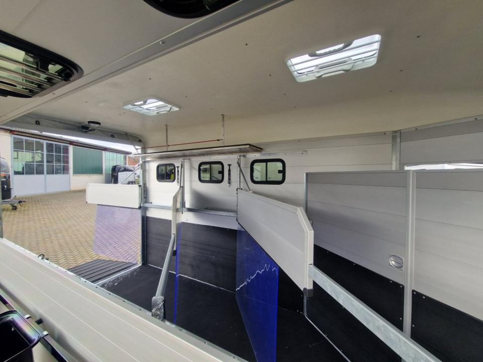 Remolque para caballos Pferdeanhänger Böckmann Traveller G3 Top Ausstattung: foto 15