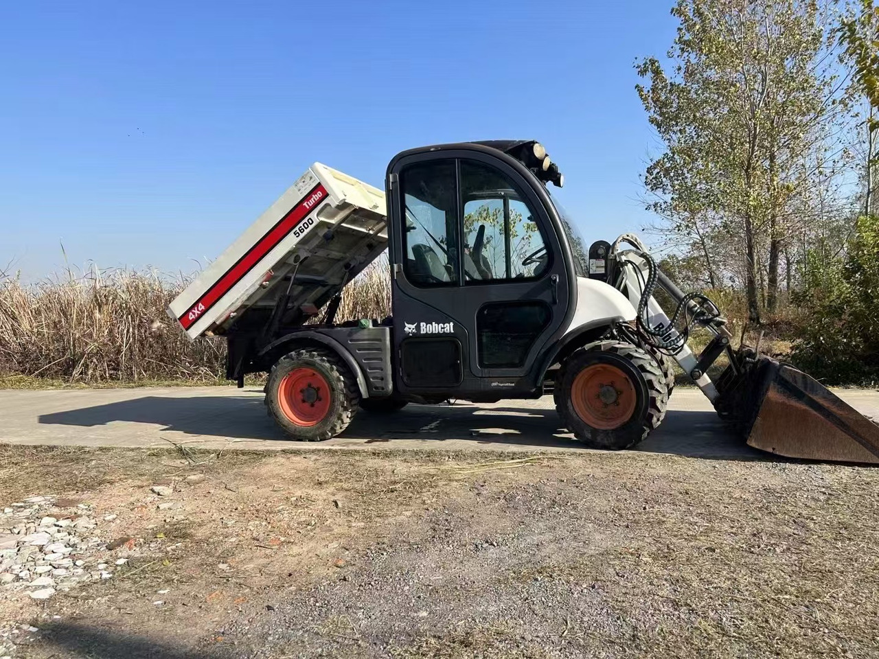 BOBCAT Bobcat 5600 - Minicargadora: foto 1 BOBCAT Bobcat 5600 - Minicargadora: foto 1
