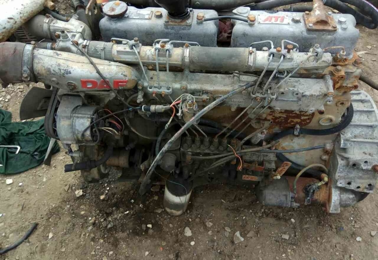DAF ATI WS259 E2 DAF - Motor para Camión: foto 1 DAF ATI WS259 E2 DAF - Motor para Camión: foto 1