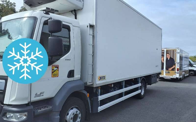 Camion Porteur FRIGO 14 TONNES 250 CV HAYON CARROSSERIE KLEGE MONO TEMP GROUPE CARRIER SUPRA 85 - Camión frigorífico: foto 1 Camion Porteur FRIGO 14 TONNES 250 CV HAYON CARROSSERIE KLEGE MONO TEMP GROUPE CARRIER SUPRA 85 - Camión frigorífico: foto 1