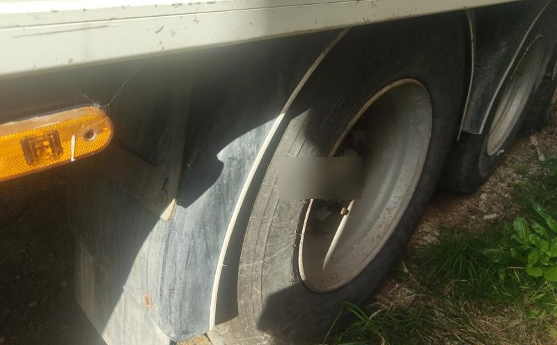 Semirremolque piso movil Legras Srem: foto 25 Semirremolque piso movil Legras Srem: foto 25