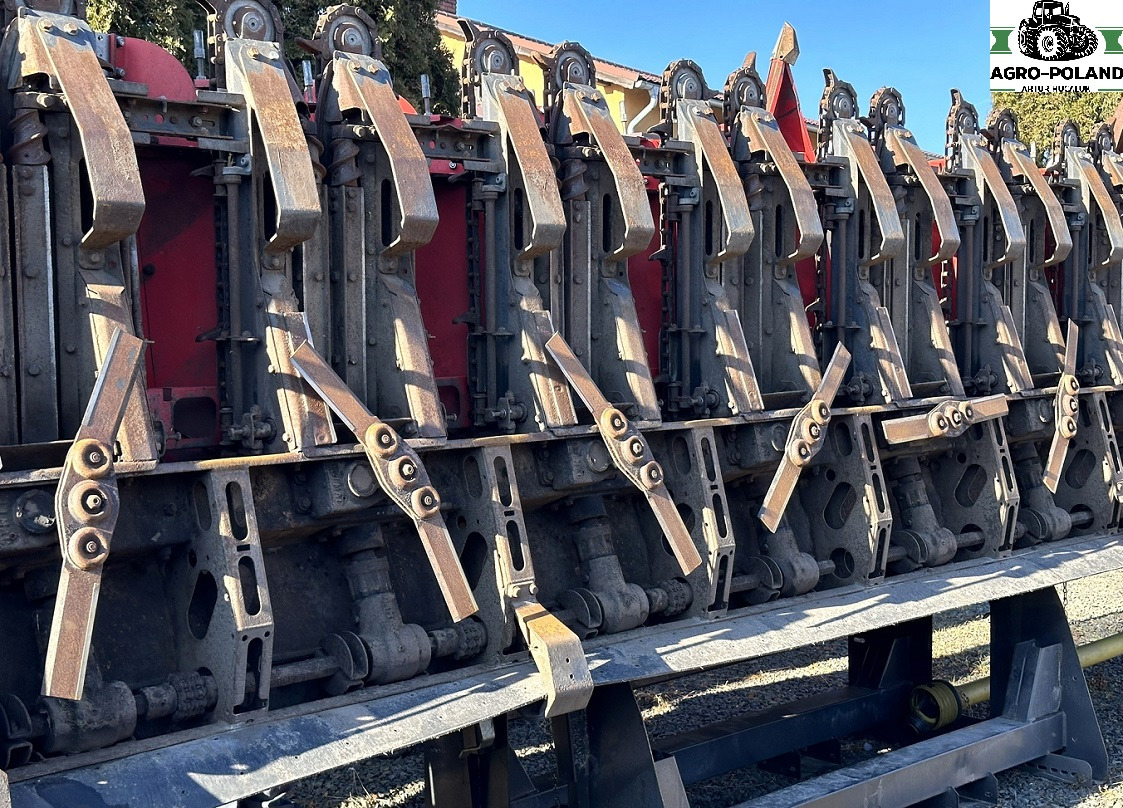 OLIMAC DRAGO 2 - S 8 TR - 8X70 - 2017 ROK - Cabezal de maíz: foto 4 OLIMAC DRAGO 2 - S 8 TR - 8X70 - 2017 ROK - Cabezal de maíz: foto 4