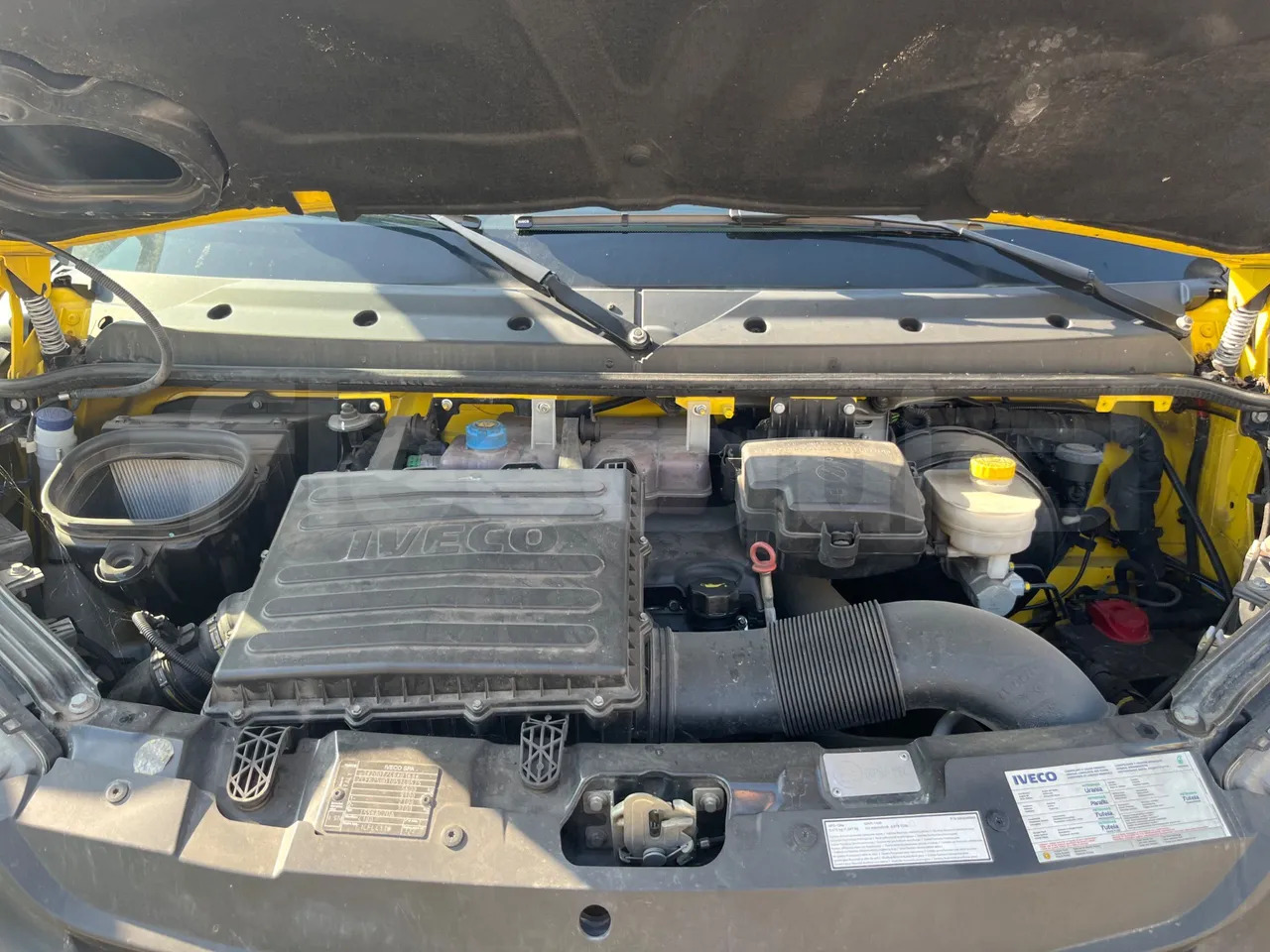 Autobús escolar, Minibús Iveco Daily: foto 15 Autobús escolar, Minibús Iveco Daily: foto 15