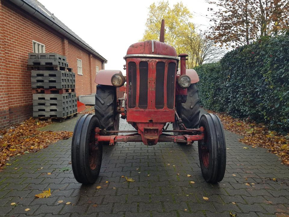 Oldtimer Hanomag R425 - Tractor: foto 5 Oldtimer Hanomag R425 - Tractor: foto 5