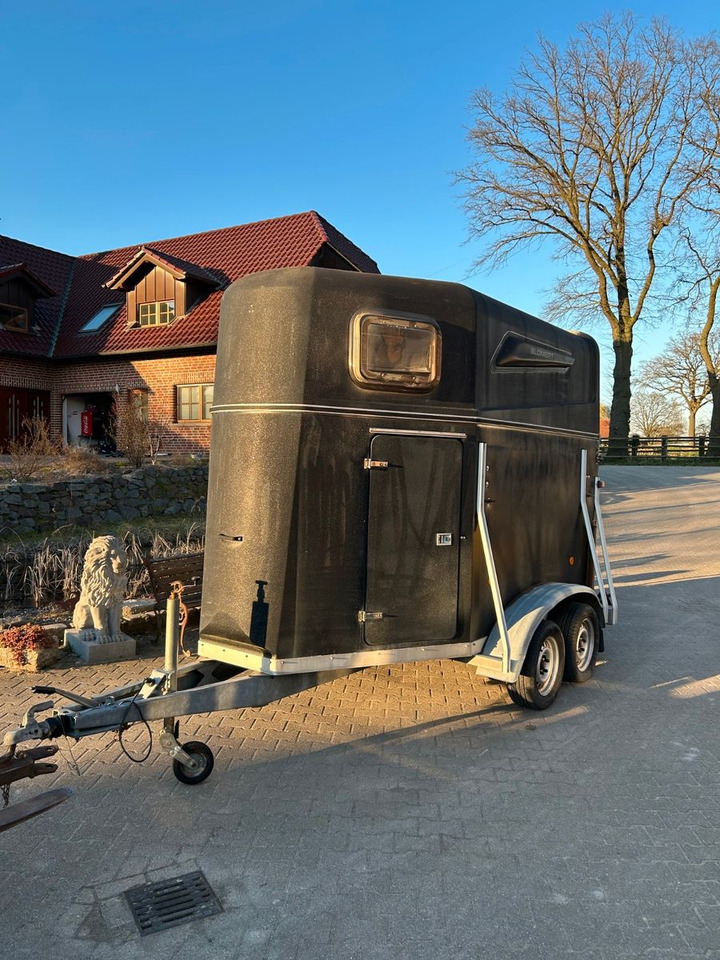 Blomert Vollpoly 2 Pferde mit Sattelkammer - Remolque para caballos: foto 1 Blomert Vollpoly 2 Pferde mit Sattelkammer - Remolque para caballos: foto 1