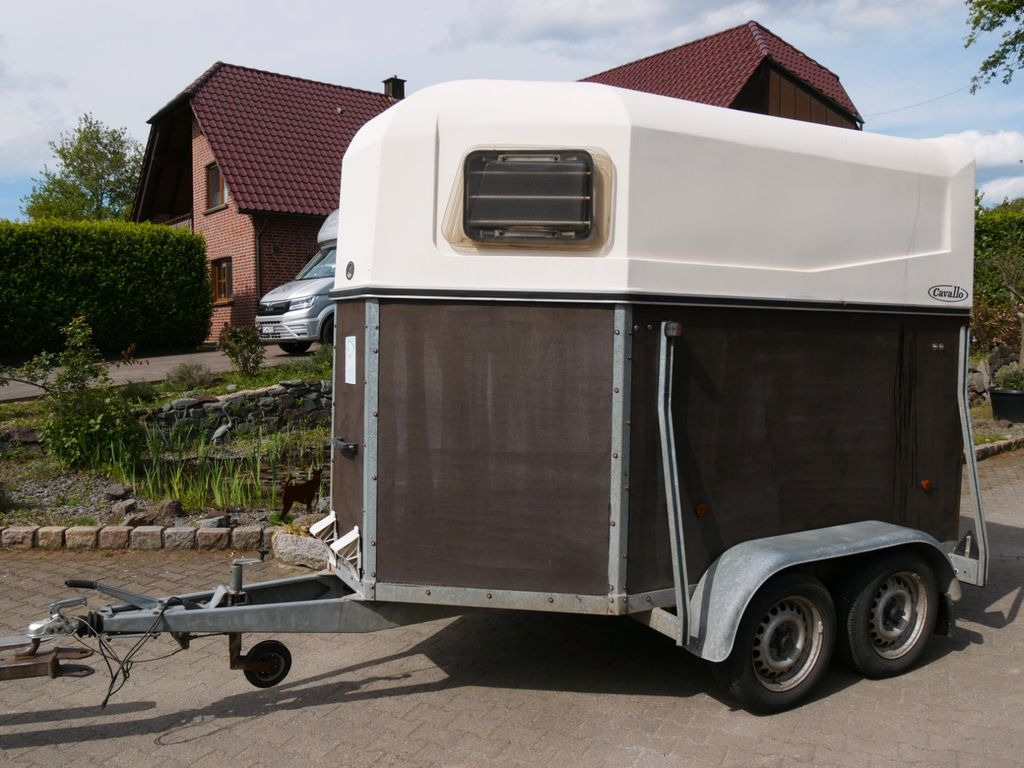 Böckmann Cavallo - Remolque para caballos: foto 1 Böckmann Cavallo - Remolque para caballos: foto 1