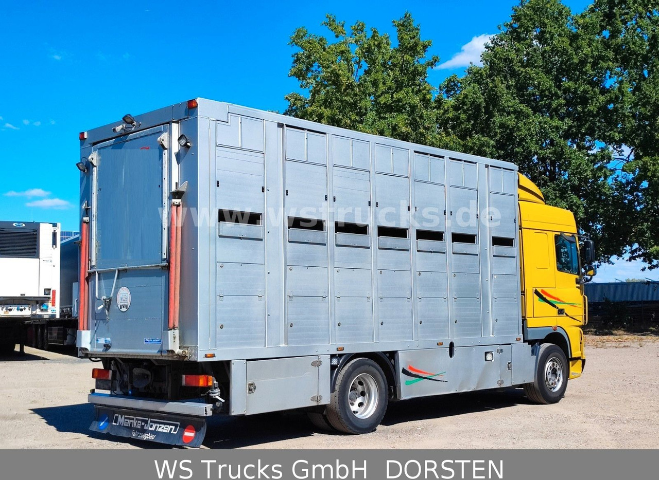 Camión para caballos DAF XF 410 SC Menke Doppelstock: foto 7