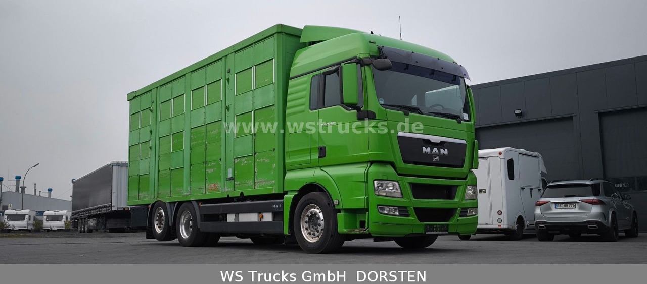 MAN TGX 26.480 XL KABA 3 Stock Vollalu - Camión para caballos: foto 4 MAN TGX 26.480 XL KABA 3 Stock Vollalu - Camión para caballos: foto 4