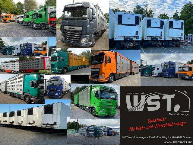Camión frigorífico Mercedes-Benz Atego 1222  Kiesling Thermoking T800R: foto 20