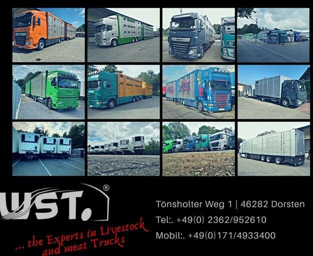 Camión frigorífico Mercedes-Benz Atego 1222  Kiesling Thermoking T800R: foto 22