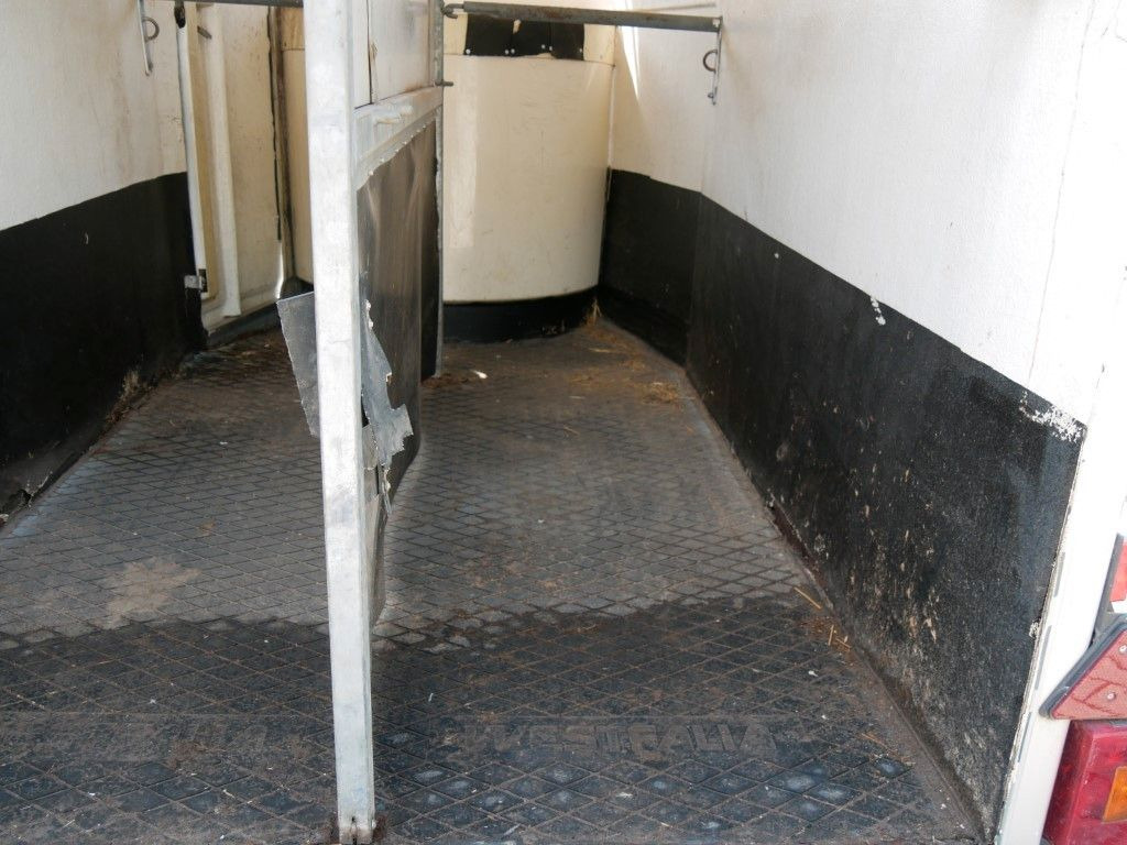 Westfalia Vollpoly 2 Pferde mit Sattelkammer - Remolque para caballos: foto 5 Westfalia Vollpoly 2 Pferde mit Sattelkammer - Remolque para caballos: foto 5