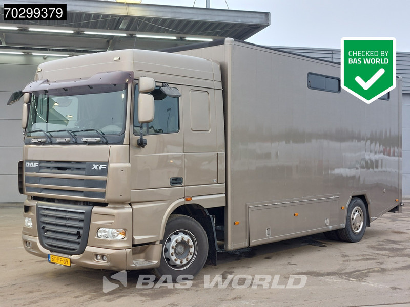 DAF XF105.410 XF 4X2 NL-Truck JK Horsetruck 6 Horses Pferdentransport Manual Euro 5 - Camión para caballos: foto 1 DAF XF105.410 XF 4X2 NL-Truck JK Horsetruck 6 Horses Pferdentransport Manual Euro 5 - Camión para caballos: foto 1