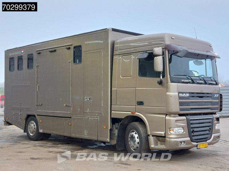 DAF XF105.410 XF 4X2 NL-Truck JK Horsetruck 6 Horses Pferdentransport Manual Euro 5 - Camión para caballos: foto 3 DAF XF105.410 XF 4X2 NL-Truck JK Horsetruck 6 Horses Pferdentransport Manual Euro 5 - Camión para caballos: foto 3