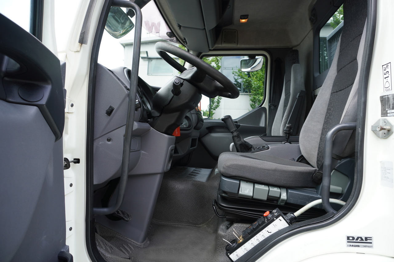 Camión portacontenedor de cadenas DAF LF 55.220 Skip loader GUIMA PALFINGER M14T: foto 9