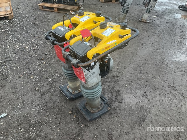 2020 Wacker Neuson BS50-2plus Jumping Jack Tamper Jumping Jack Tamper - Vibroapisonador: foto 1 2020 Wacker Neuson BS50-2plus Jumping Jack Tamper Jumping Jack Tamper - Vibroapisonador: foto 1