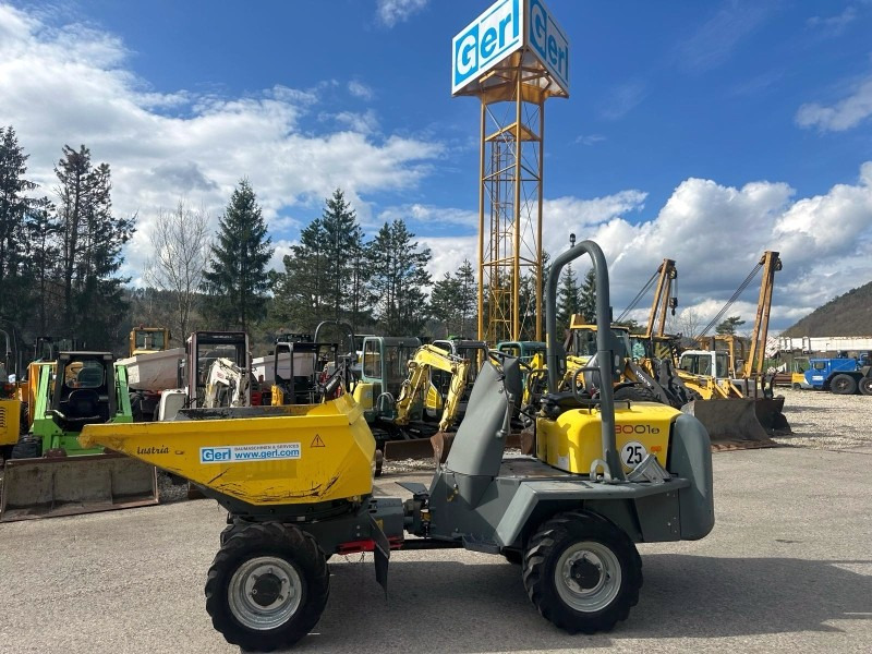Neuson 3001 (3861) - Minidumper: foto 1 Neuson 3001 (3861) - Minidumper: foto 1
