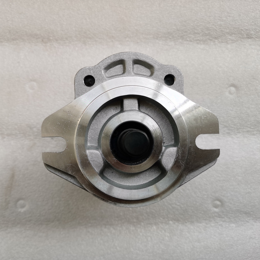 QINGDAO PROMISING Hydraulic Pump CBWA-F318-AT4Φ9 - Bomba hidráulica para Cargadora de ruedas: foto 3 QINGDAO PROMISING Hydraulic Pump CBWA-F318-AT4Φ9 - Bomba hidráulica para Cargadora de ruedas: foto 3