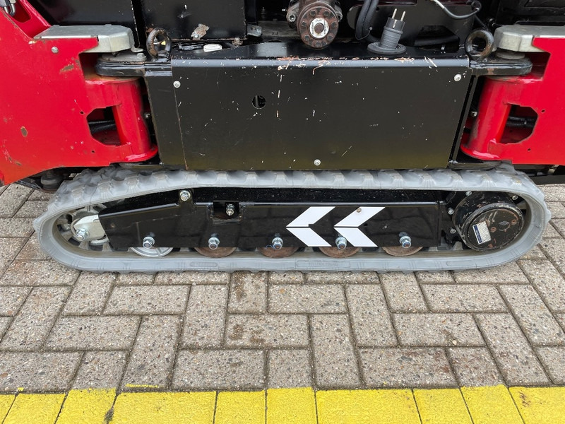 Minigrúa nuevo Hoeflon C 6 SOLD: foto 8