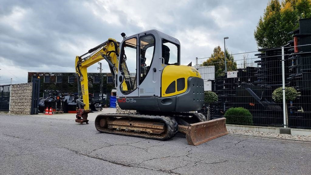 Leasing de Wacker Neuson Minibagger 6003 RD, Verstellausl., MS08, Powertilt  Wacker Neuson Minibagger 6003 RD, Verstellausl., MS08, Powertilt: foto 12