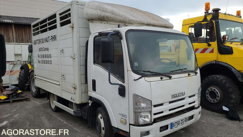 Bétaillère abattoir ISUZU - 2008 - Camión transporte de ganado: foto 2 Bétaillère abattoir ISUZU - 2008 - Camión transporte de ganado: foto 2