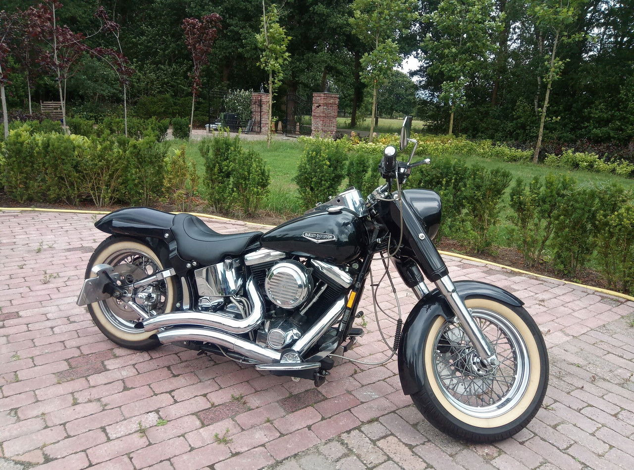 Harley-Davidson Custom Custom - Motocicleta: foto 4 Harley-Davidson Custom Custom - Motocicleta: foto 4