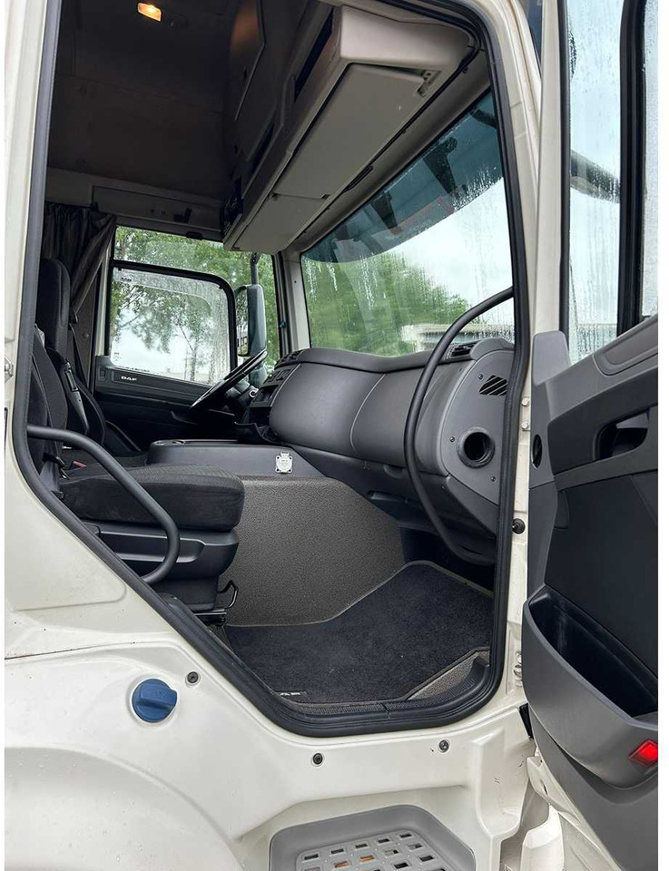 Camión DAF - CF 460 FT - TRUCK: foto 6
