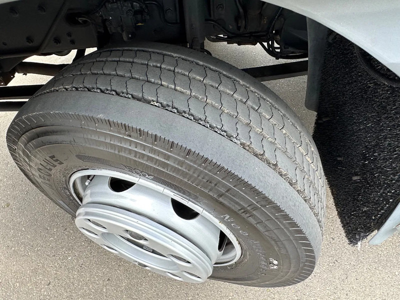 Leasing de DAF LF 210 LF210.12 EURO6. 2019. 620x249x260! DAF LF 210 LF210.12 EURO6. 2019. 620x249x260!: foto 12