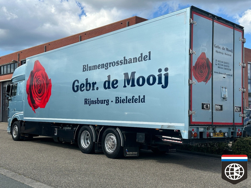 DAF XF 460 FAN TRS ICELAND / SMART TACHO 2 /FLOWERS / RACE / HORSE - Camión frigorífico: foto 4 DAF XF 460 FAN TRS ICELAND / SMART TACHO 2 /FLOWERS / RACE / HORSE - Camión frigorífico: foto 4
