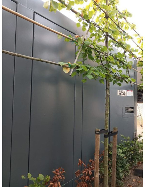 Generador industriale Cummins KTA 50-G2 Leroy Somer 1400 kVA generatorset in Silent container: foto 10