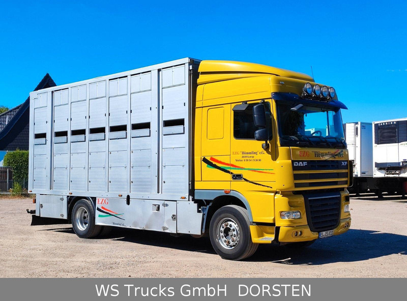 DAF XF410 Menke Doppelstock - Camión transporte de ganado: foto 4 DAF XF410 Menke Doppelstock - Camión transporte de ganado: foto 4