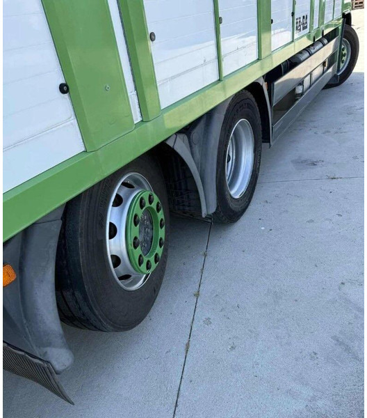 Camión transporte de ganado MAN TGS 26.440 Livestock Transporter - Three Deck: foto 9