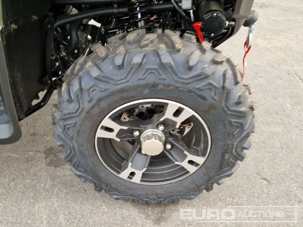 Cuadrimoto Unused TAO Motors TGA300F: foto 9