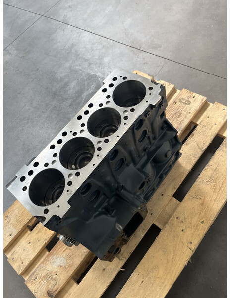 MAN TGL TGM D0834 RECONDITIONED WITH WARRANTY - Motor para Camión: foto 2 MAN TGL TGM D0834 RECONDITIONED WITH WARRANTY - Motor para Camión: foto 2