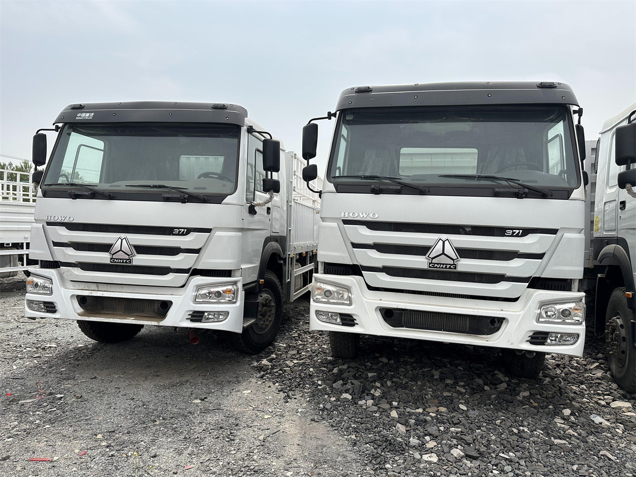 SINOTRUK HOWO 371 Cargo truck - Camión transporte de ganado: foto 1 SINOTRUK HOWO 371 Cargo truck - Camión transporte de ganado: foto 1