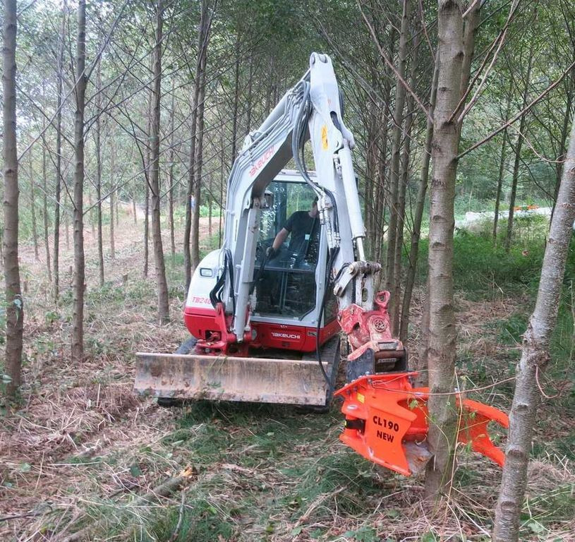 Implemento para Maquinaria forestal nuevo Westtech Woodcracker CL190 Fällkopf Fällgreifer Westtech Woodcracker CL190 Fällkopf Fällgreifer: foto 7