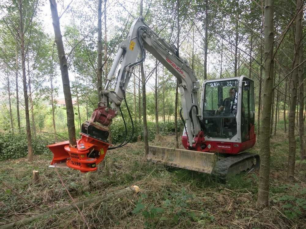 Implemento para Maquinaria forestal nuevo Westtech Woodcracker CL190 Fällkopf Fällgreifer Westtech Woodcracker CL190 Fällkopf Fällgreifer: foto 6