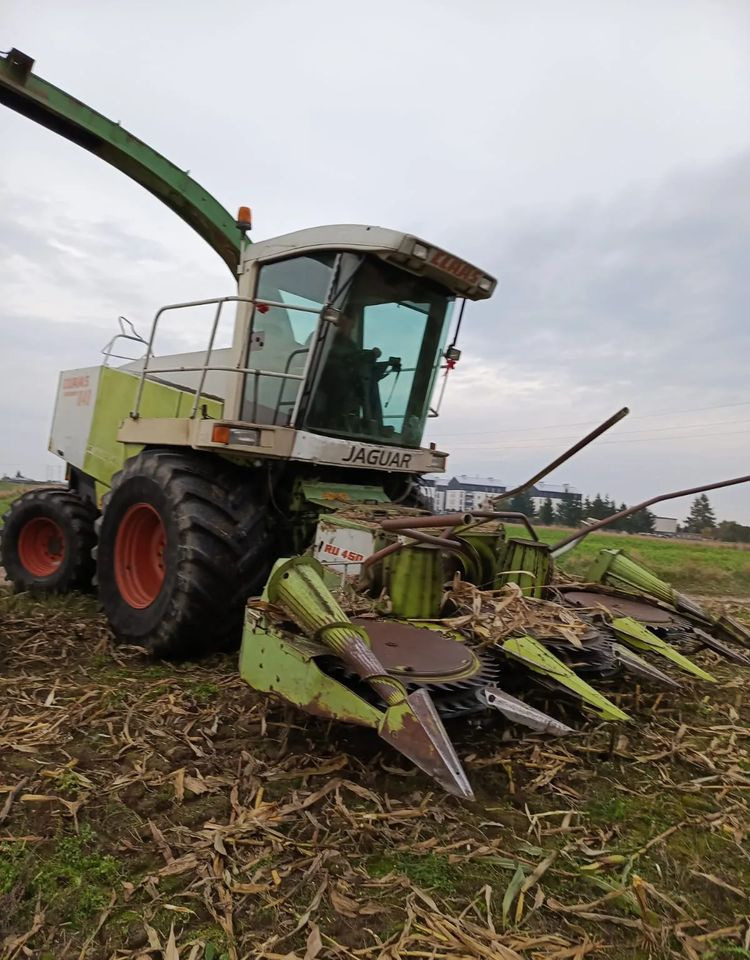 Claas Jaguar 840 - Cosechadora de forraje: foto 1 Claas Jaguar 840 - Cosechadora de forraje: foto 1