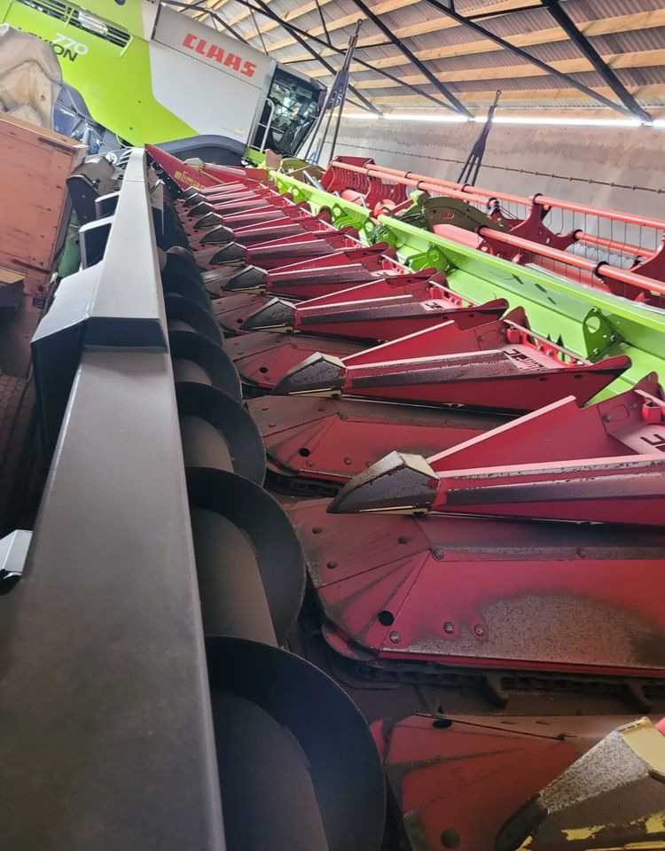 Olimac Drago II - Cabezal de maíz: foto 2 Olimac Drago II - Cabezal de maíz: foto 2