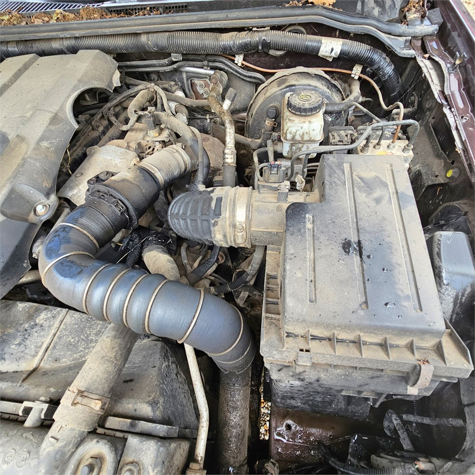 Pick-up Nissan Navara 2,5 Dci Dc 4wd: foto 17 Pick-up Nissan Navara 2,5 Dci Dc 4wd: foto 17