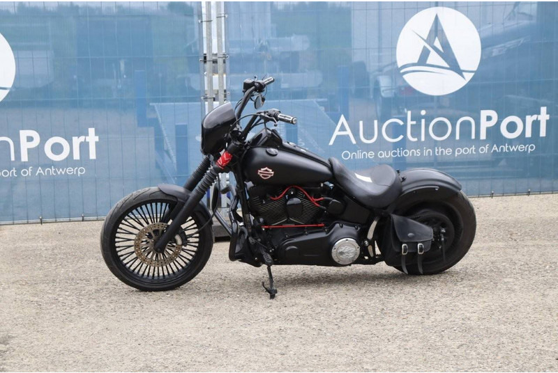 Harley-Davidson Deuce FXSTD Softail - Motocicleta: foto 1 Harley-Davidson Deuce FXSTD Softail - Motocicleta: foto 1