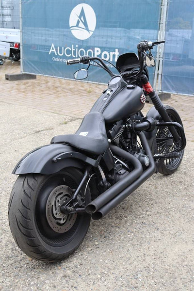 Harley-Davidson Deuce FXSTD Softail - Motocicleta: foto 5 Harley-Davidson Deuce FXSTD Softail - Motocicleta: foto 5