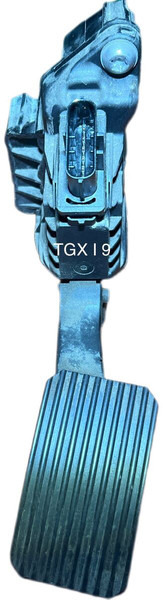 MAN 2019 - Pedal: foto 2 MAN 2019 - Pedal: foto 2